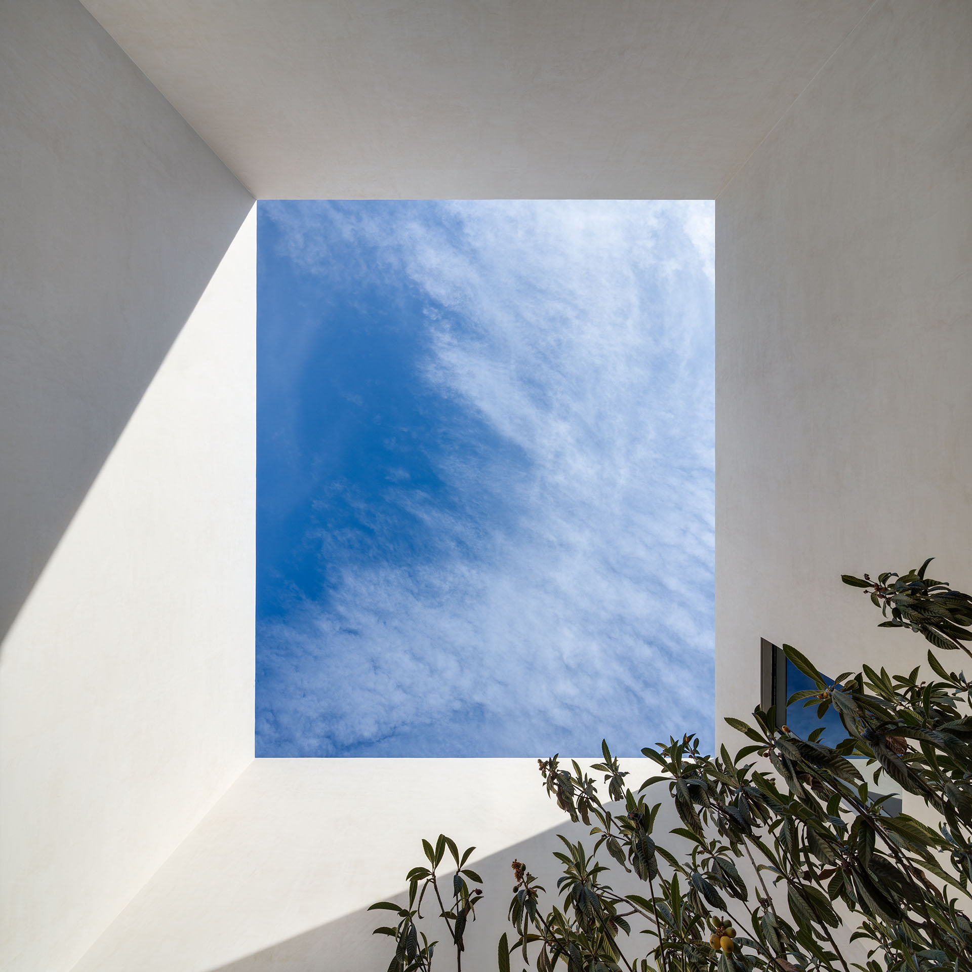 Square opening to the sky between white walls and plants.