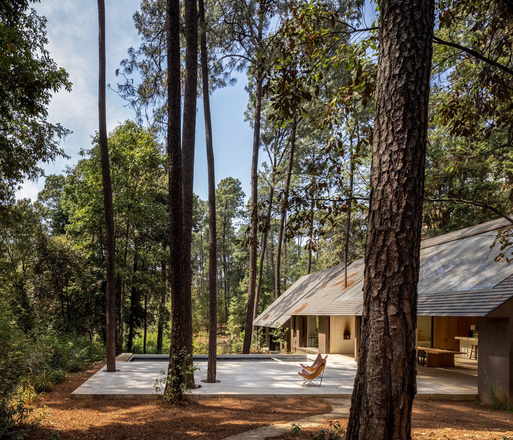 Casa de cubierta inclinada entre pinos altos y suelo de bosque.