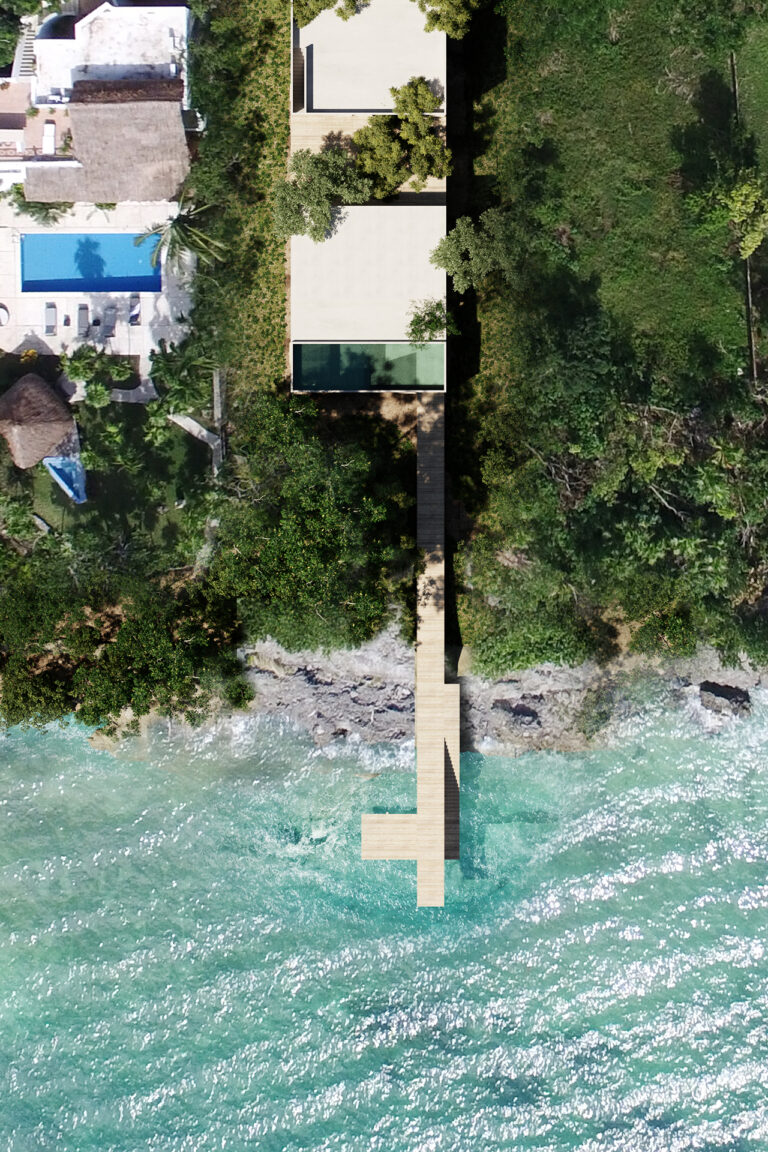 Vista aérea vertical de Cozumel con costa rocosa, vegetación y muelle hacia el agua.