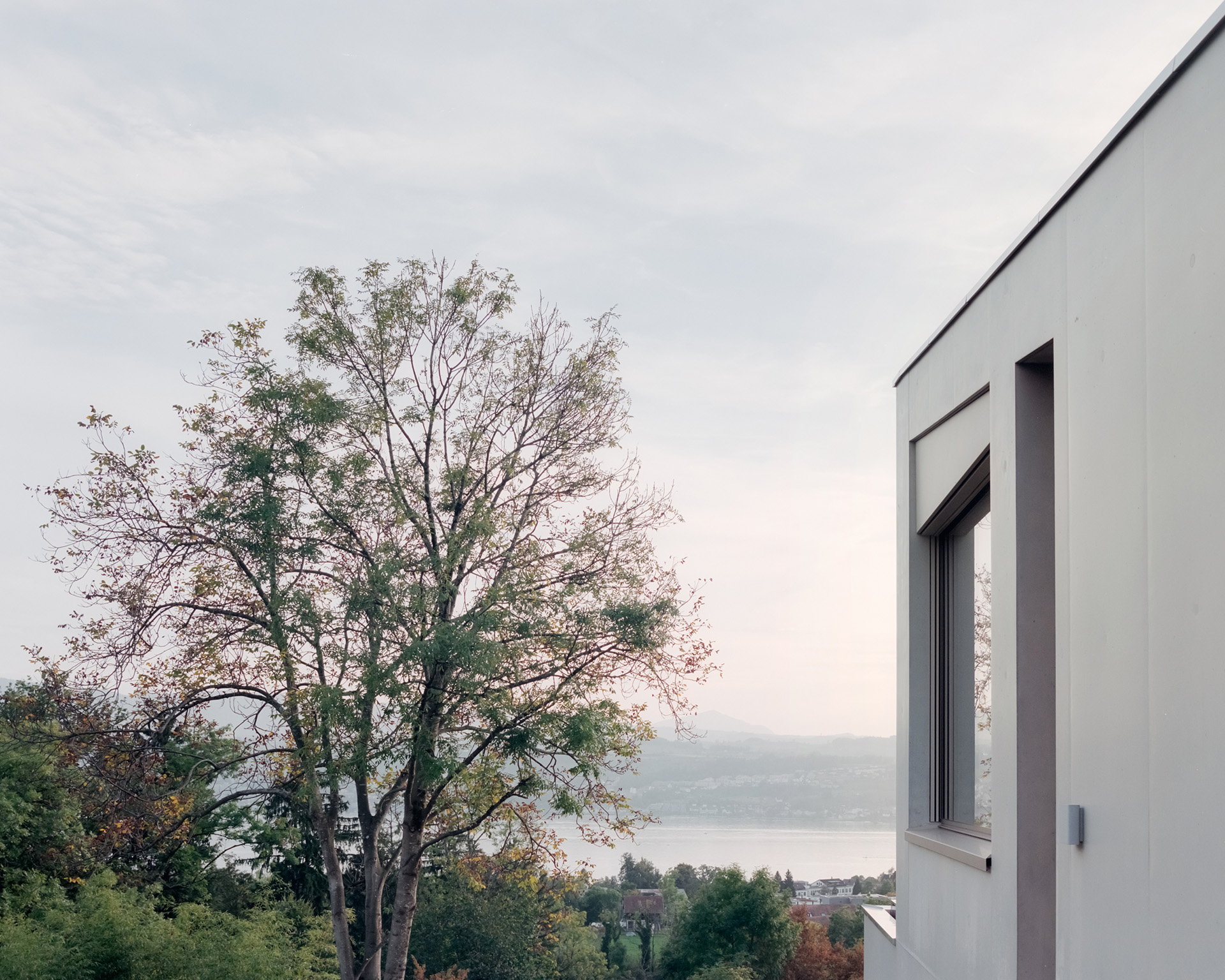 Fachada blanca minimalista junto a un gran árbol y vista al paisaje.